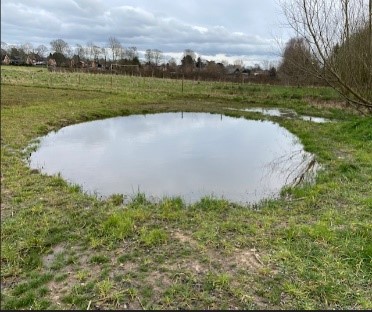 Wildlife pond