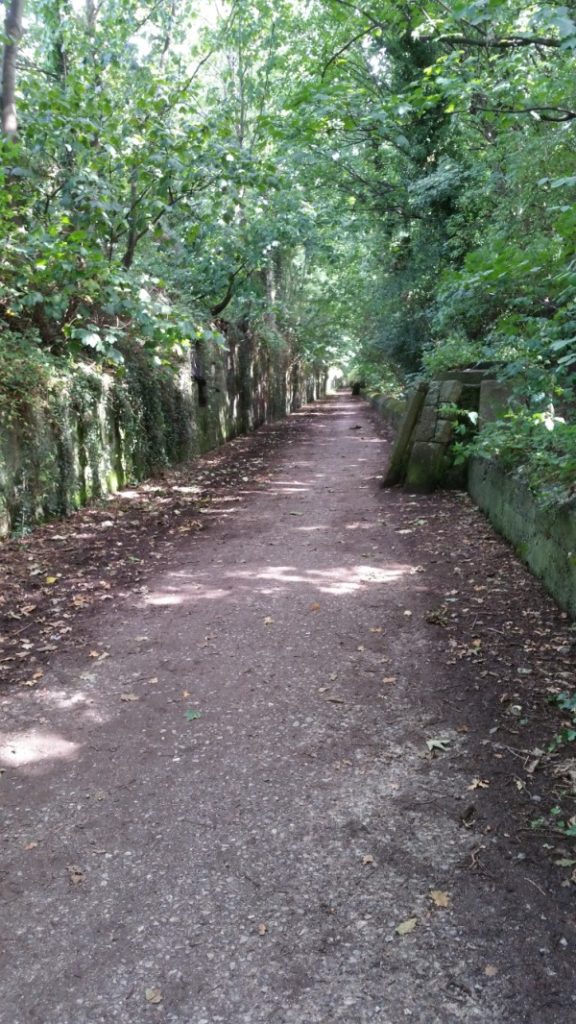 Rock Cutting on the Wirral Way