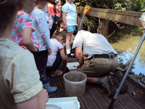 Volunteers helping out at the pond