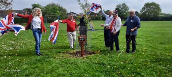 Unveiling of the Jubilee Tree