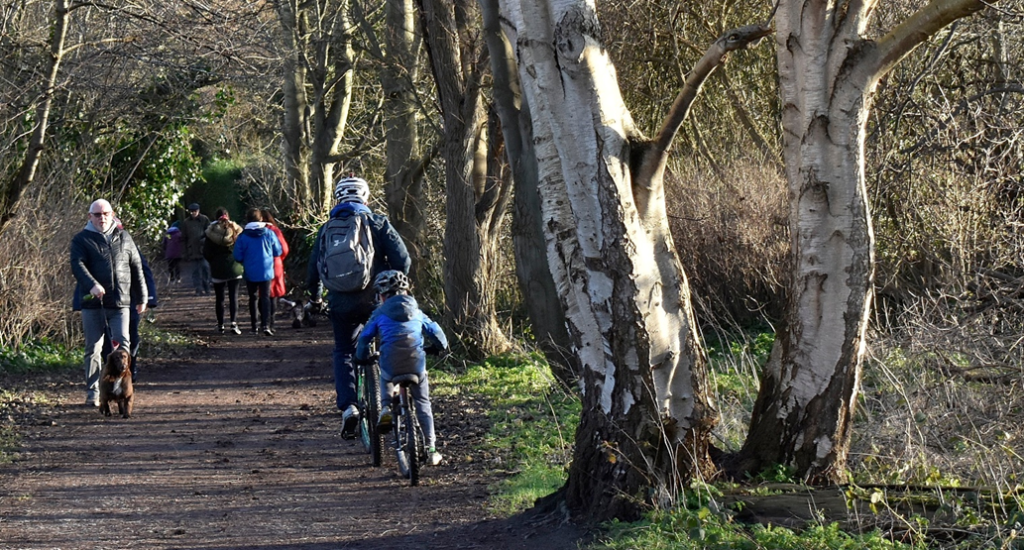 Photograph of cyclists and walkers using the Wirral Way