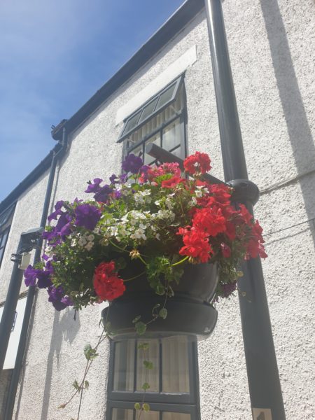 Neston town centre hanging baskets