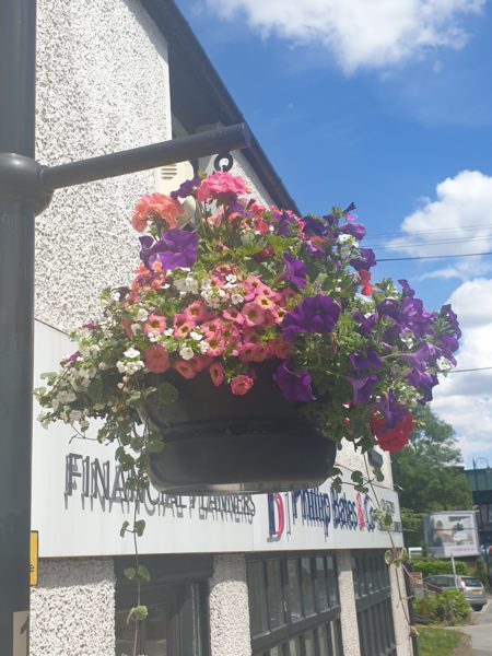 Neston town centre hanging baskets