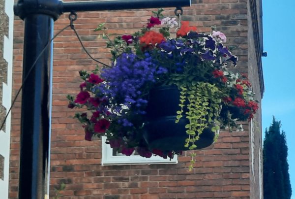 Neston town centre hanging baskets