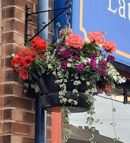 Neston town centre hanging baskets