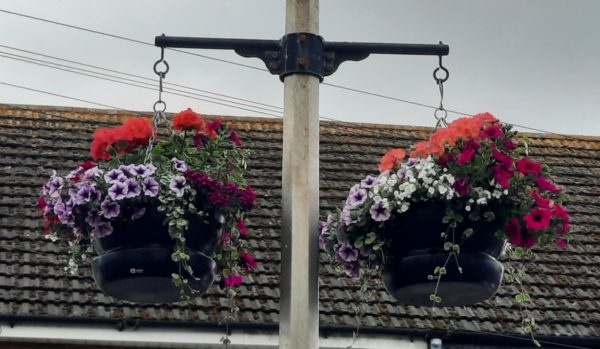 Neston town centre hanging baskets